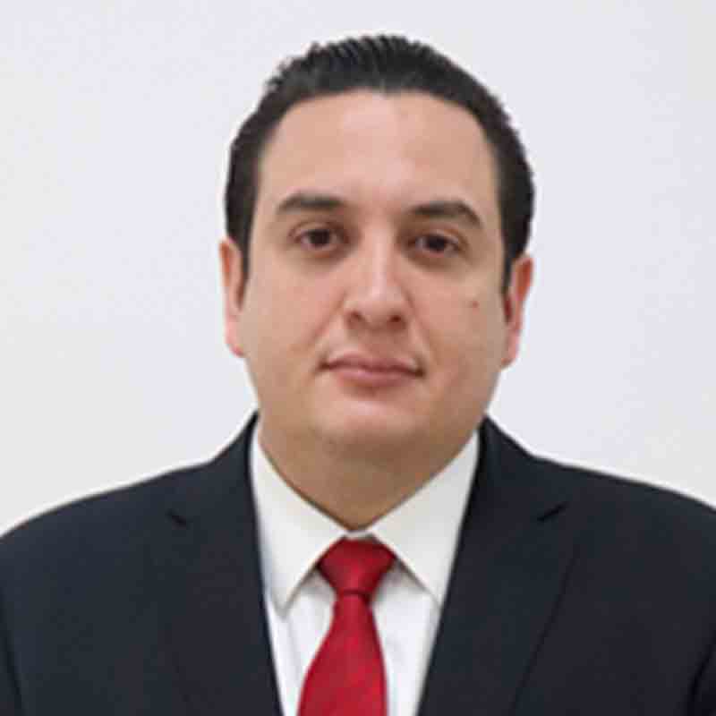 Ing. Guillermo Bribiesca Vadillo.