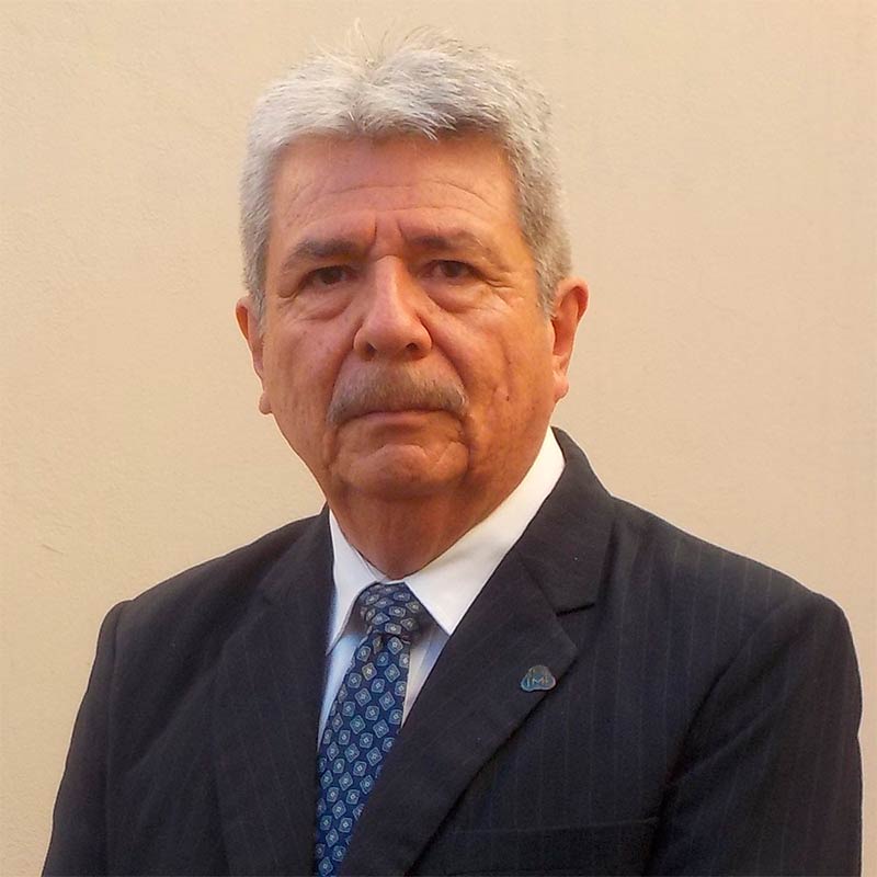 Ing. Luis Alfonso Martínez Martínez