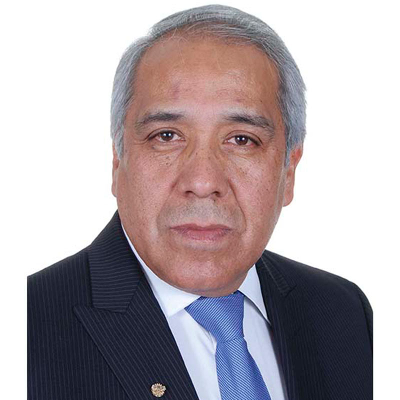 Ing. Javier Oropeza Ángeles